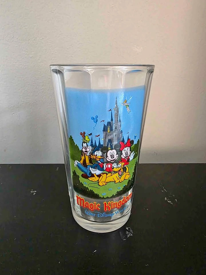 Vintage Walt Disney World Magic Kingdom Drinking Glass
