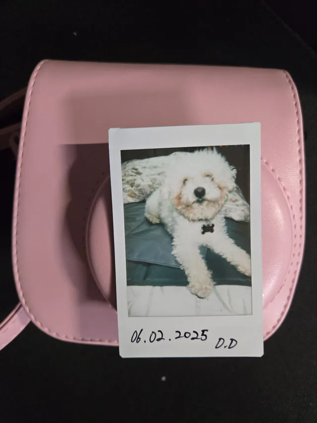 Fujifilm Instax Mini 40 Camera Set with Pink Carry Case & Access image indicator(7)