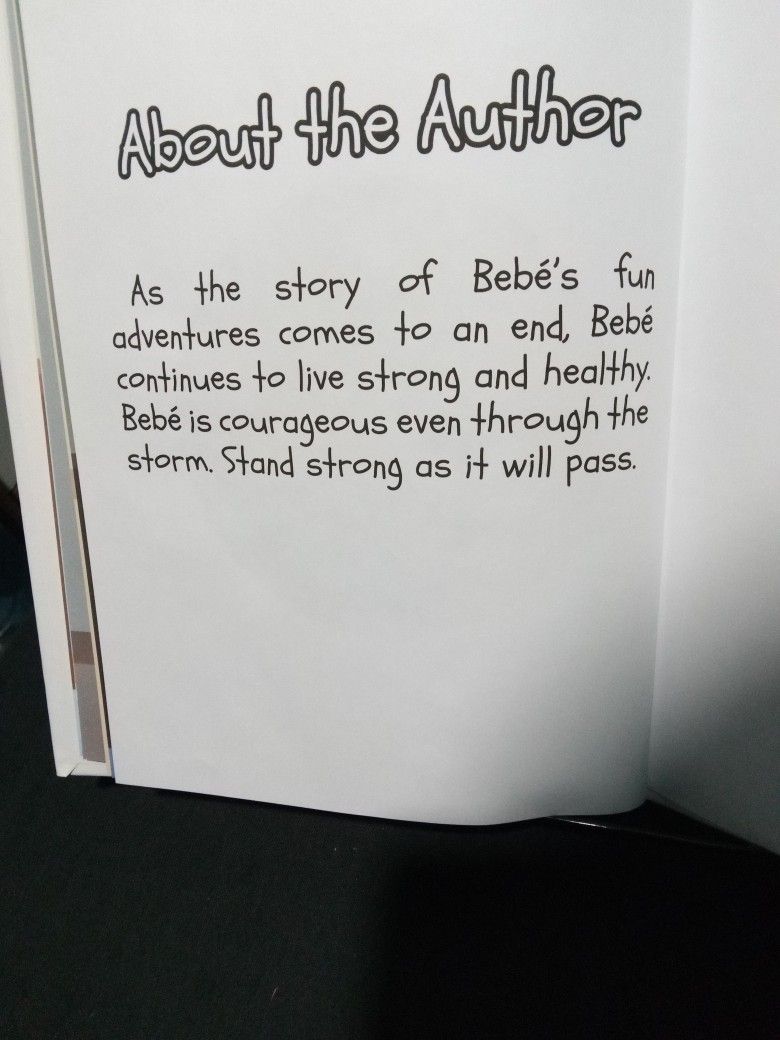 Children's Book: Wheres Bebe? By Omar Pedraza - photo 3