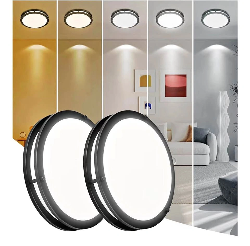 2 Pack - Ceiling Light