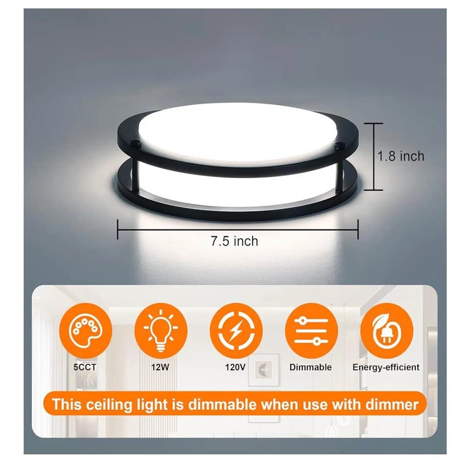 2 Pack - Ceiling Light - photo 2
