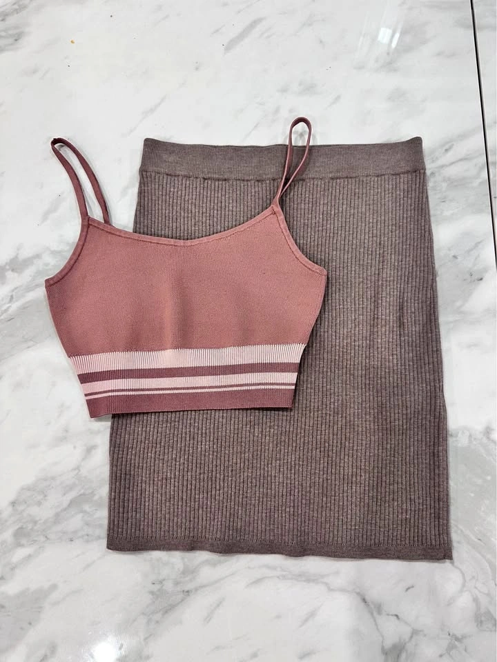2 PC ARITZIA Babaton Pink Knit Crop Top Wilfred Taupe Skirt XS