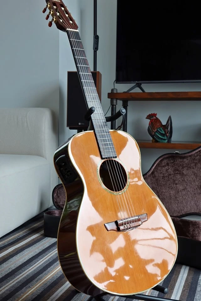 Yamaha FPX-300N Nylon Folk Guitar w/ Pickup