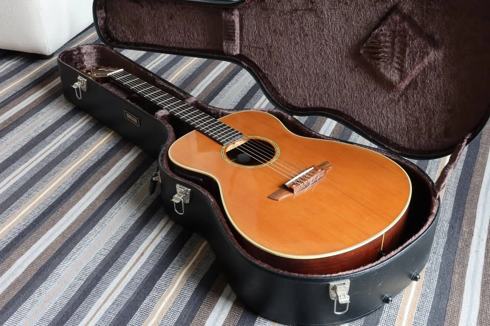 Yamaha FPX-300N Nylon Folk Guitar w/ Pickup - photo 3