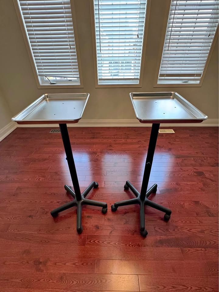 Salon Tray Carts