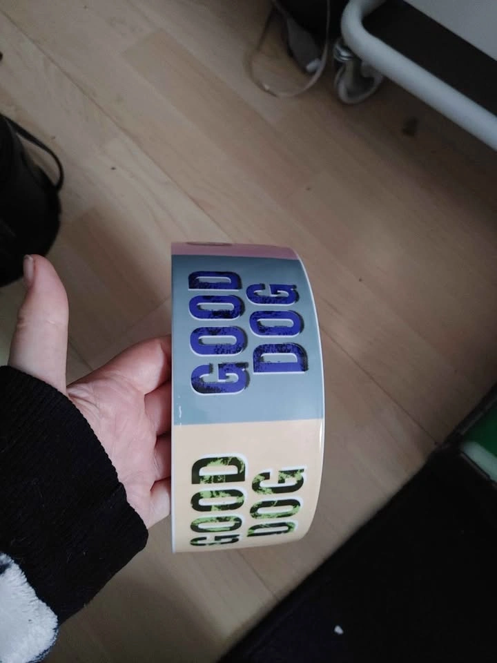 Fringe Studio Good Dog Woof Ceramic Bowl - photo 4