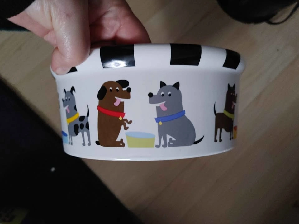 Petrageous stoneware POOCH Dog Bowl - Retired Design - photo 3
