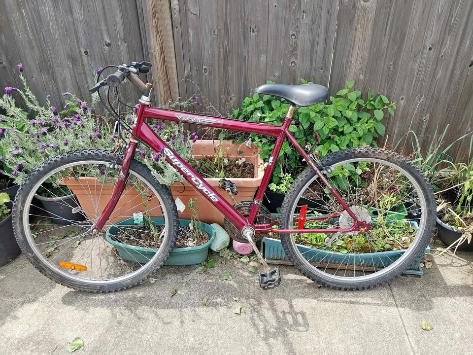 Bicycle. Brakes and tires are good. Chain is rusty.