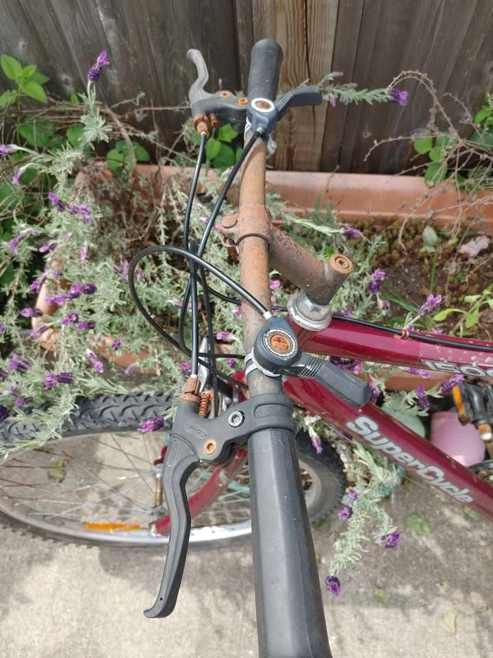 Bicycle. Brakes and tires are good. Chain is rusty. - photo 4