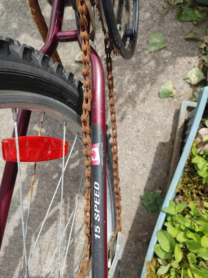 Bicycle. Brakes and tires are good. Chain is rusty. - photo 5