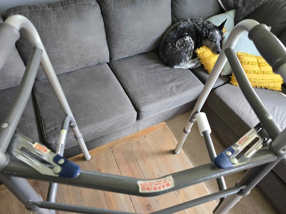Adjustable Walker with Wheels - photo 2