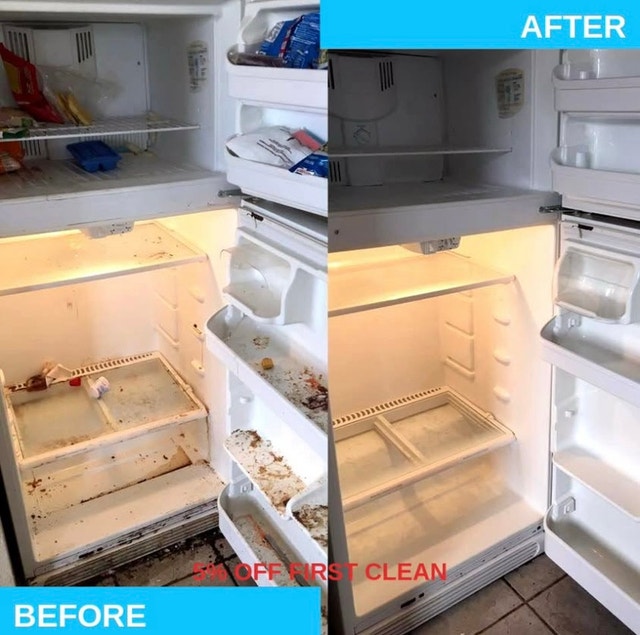 Professional cleaners GTA and surrounding areas - photo 3