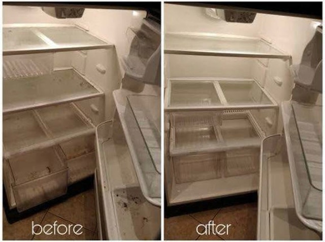 Professional cleaners GTA and surrounding areas - photo 4