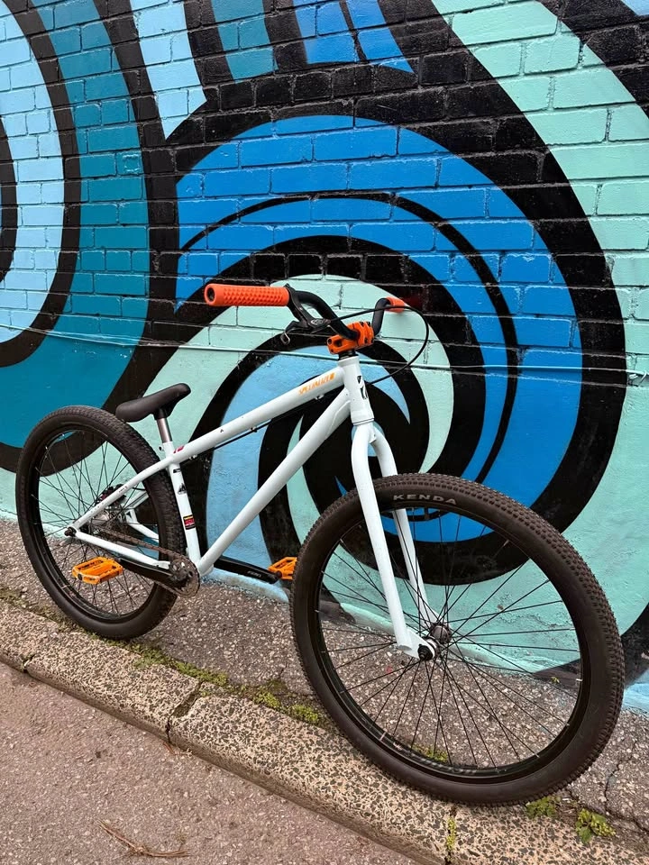 Specialized P1 Dirt Jumper Bike