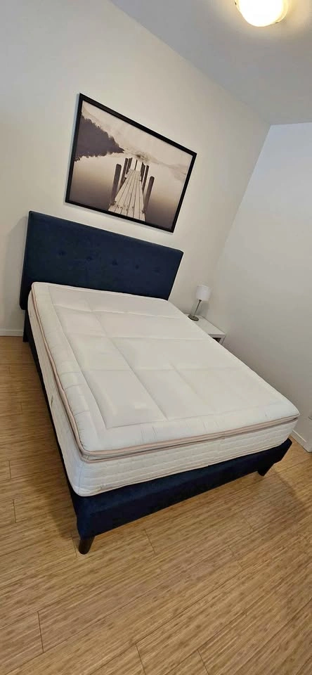 Queen Bed Frame and Mattress