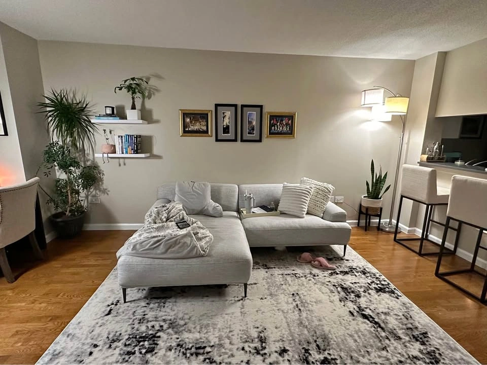 6’ x 9’ Area Rug
