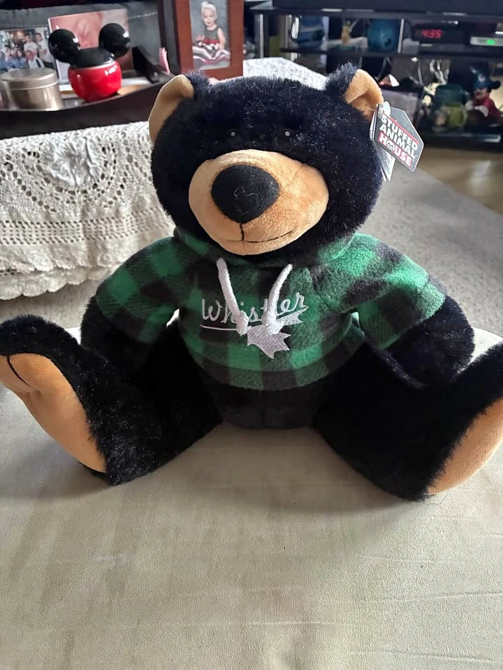 Adorable MBW Stuffed Bear with Hoody!