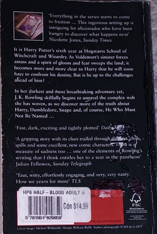 Harry Potter and the Half-Blood Prince Book 6, Adult Edition - photo 3