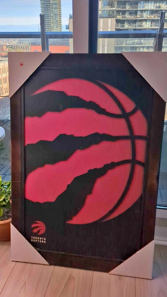 Raptors Picture Frame (39 X 26.5 inch) pick up only