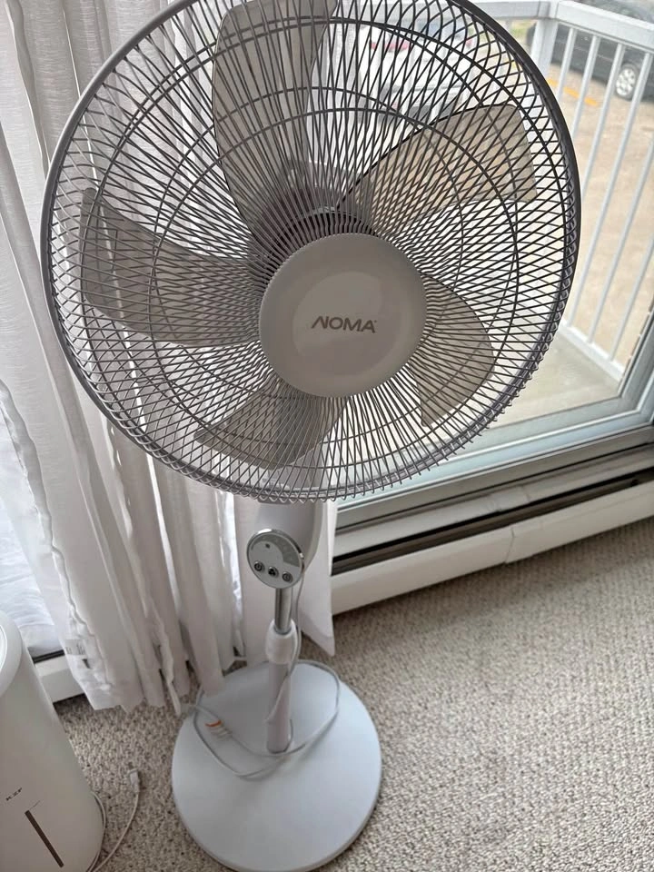 NOMA Pedestal Fan, Honeywell Tower Fan, KZF Humidifier