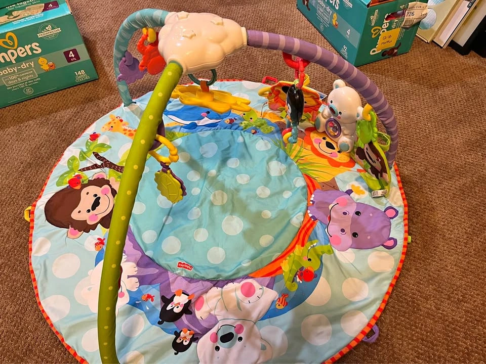 Fisher Price Precious Planet Deluxe Musical Activity Gym