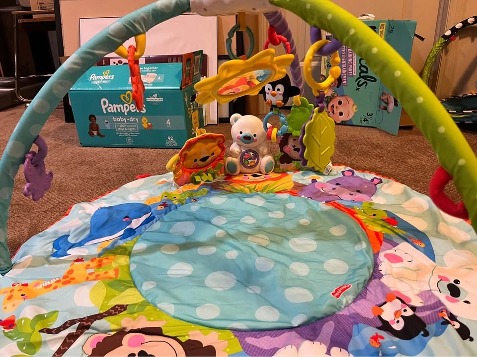 Fisher Price Precious Planet Deluxe Musical Activity Gym - photo 2