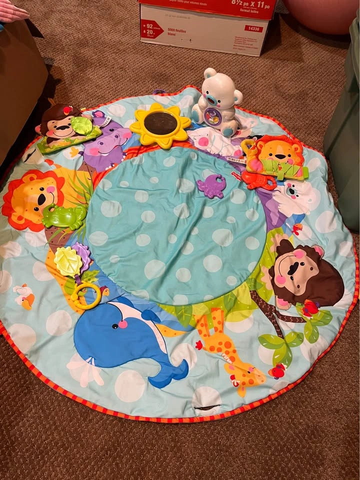 Fisher Price Precious Planet Deluxe Musical Activity Gym - photo 3