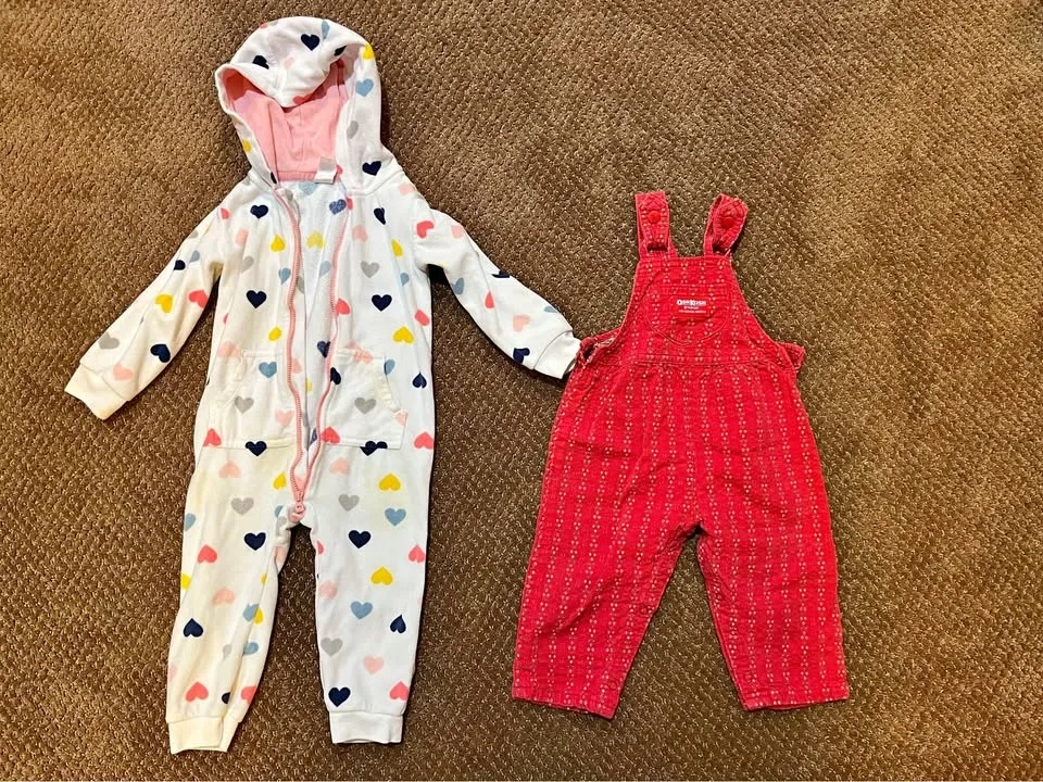 18-24 Month Girls Clothing Lot