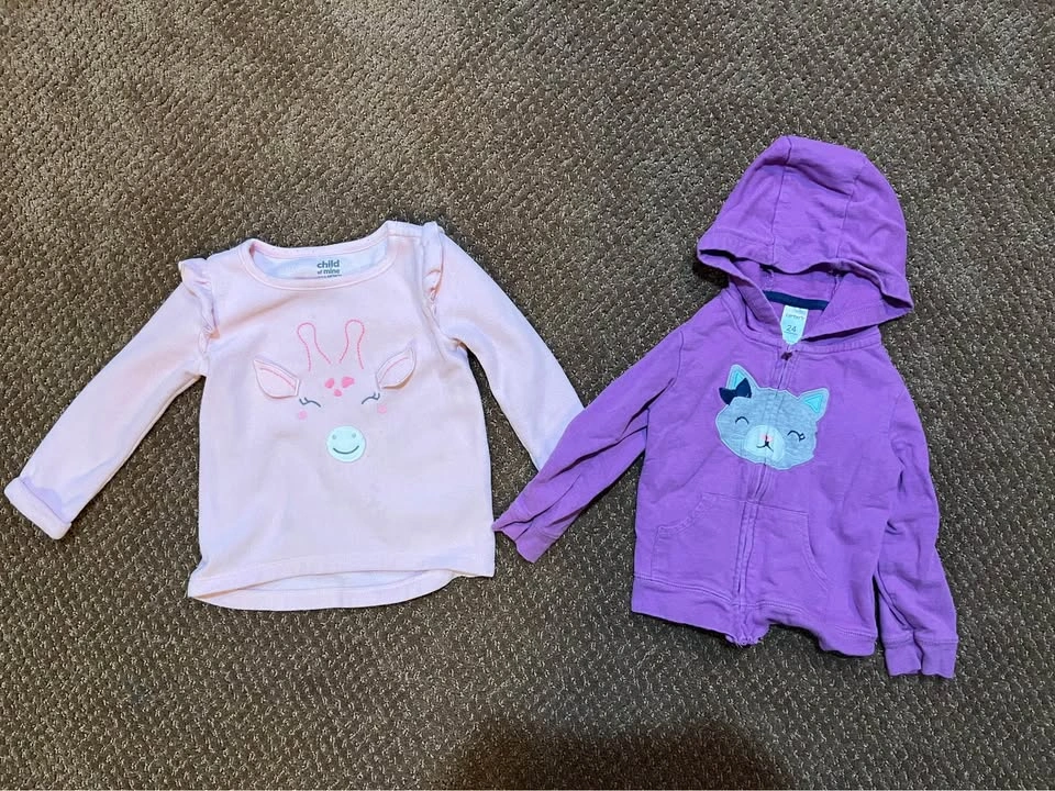 18-24 Month Girls Clothing Lot - photo 5