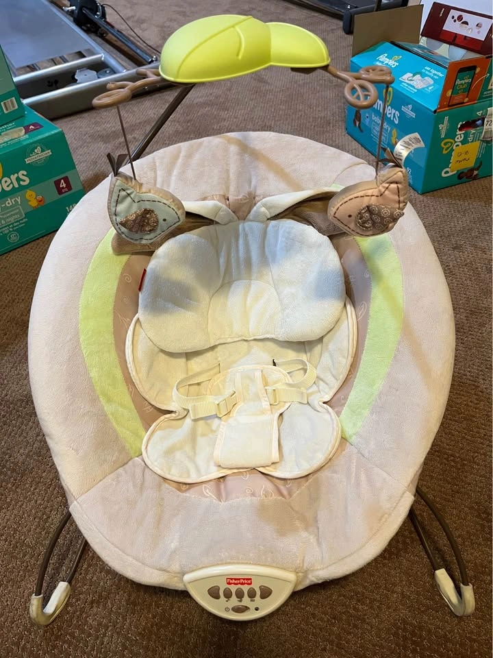 Fisher Price Bouncer Chair