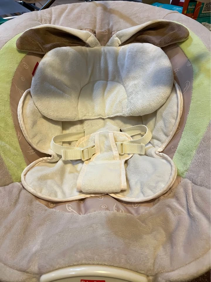 Fisher Price Bouncer Chair - photo 2