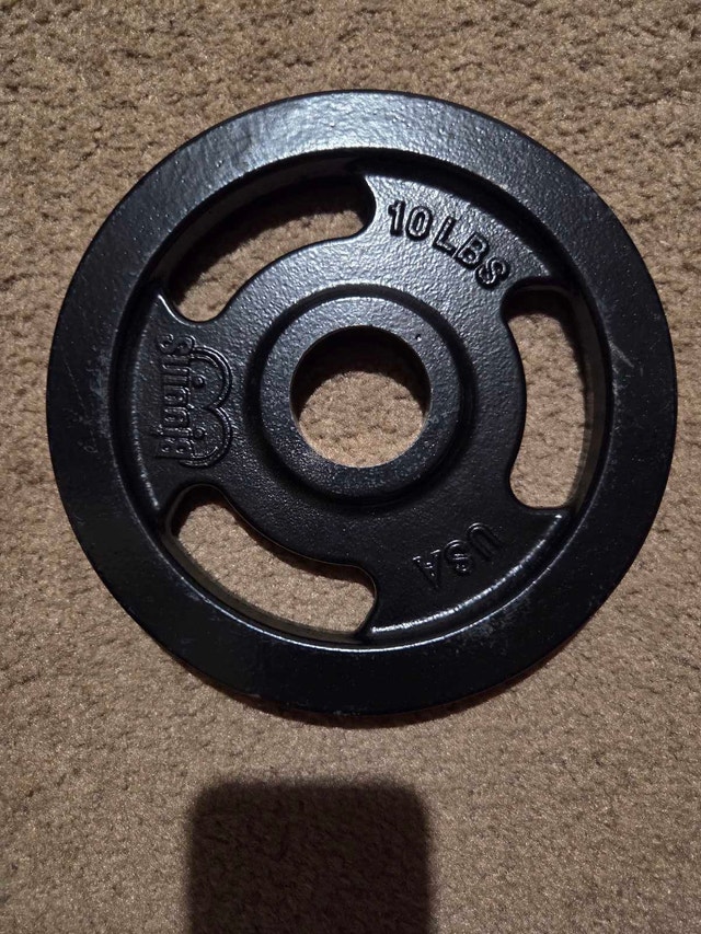 8 x 10lb Cast Iron Weight Plates - photo 2
