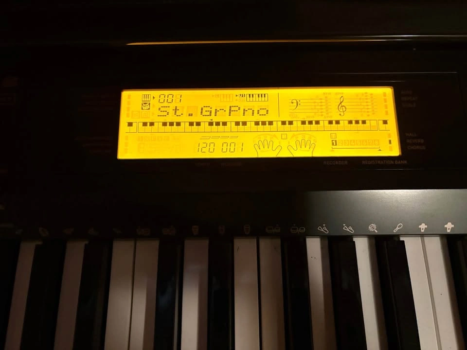 Casio CDP-230R Digital Piano - photo 2