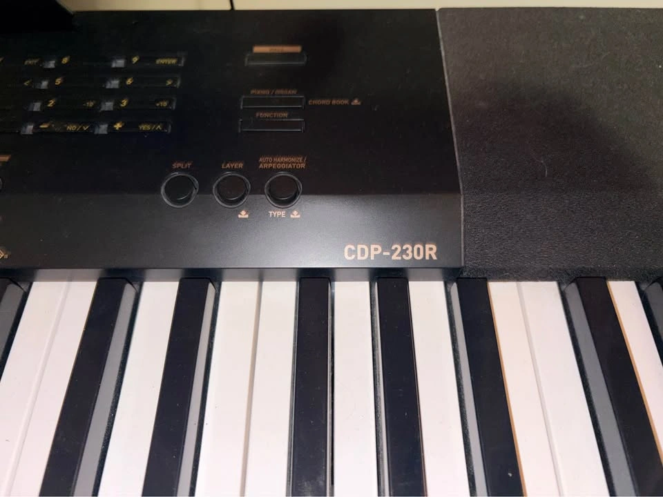 Casio CDP-230R Digital Piano - photo 3
