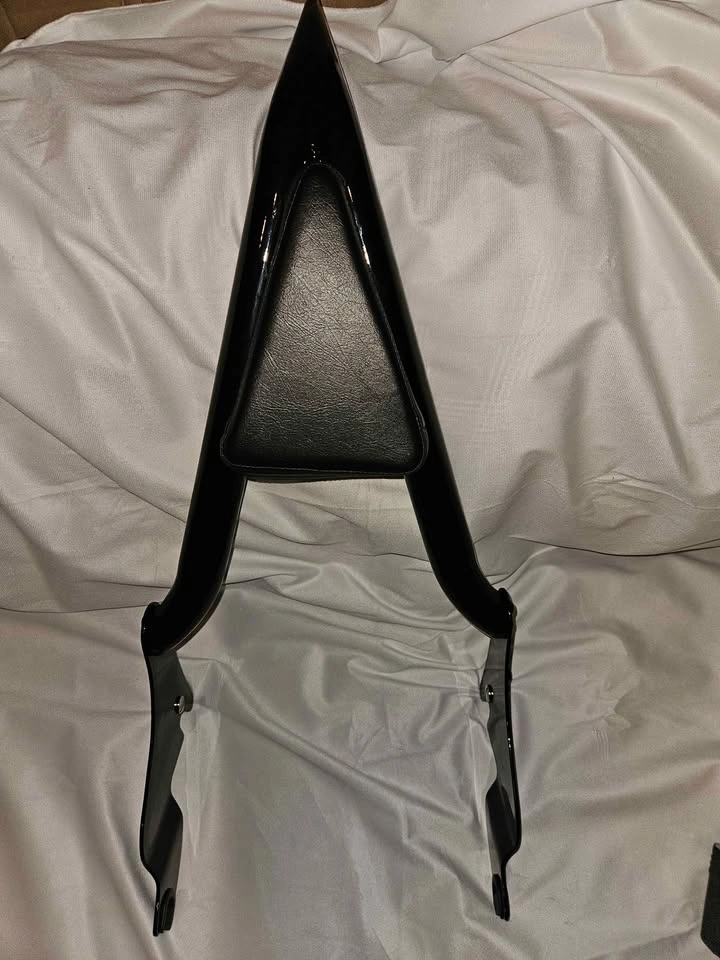 Goldfire Black Detachable Sissy Bar for Harley Touring 2009-2022 - photo 2