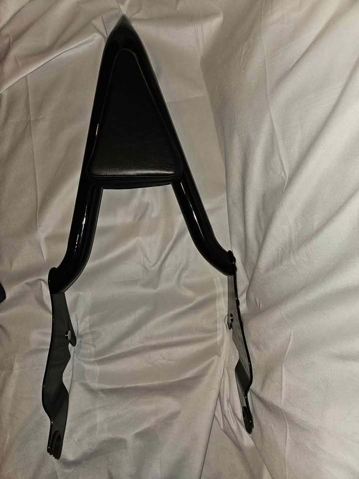 Goldfire Black Detachable Sissy Bar for Harley Touring 2009-2022 - photo 3