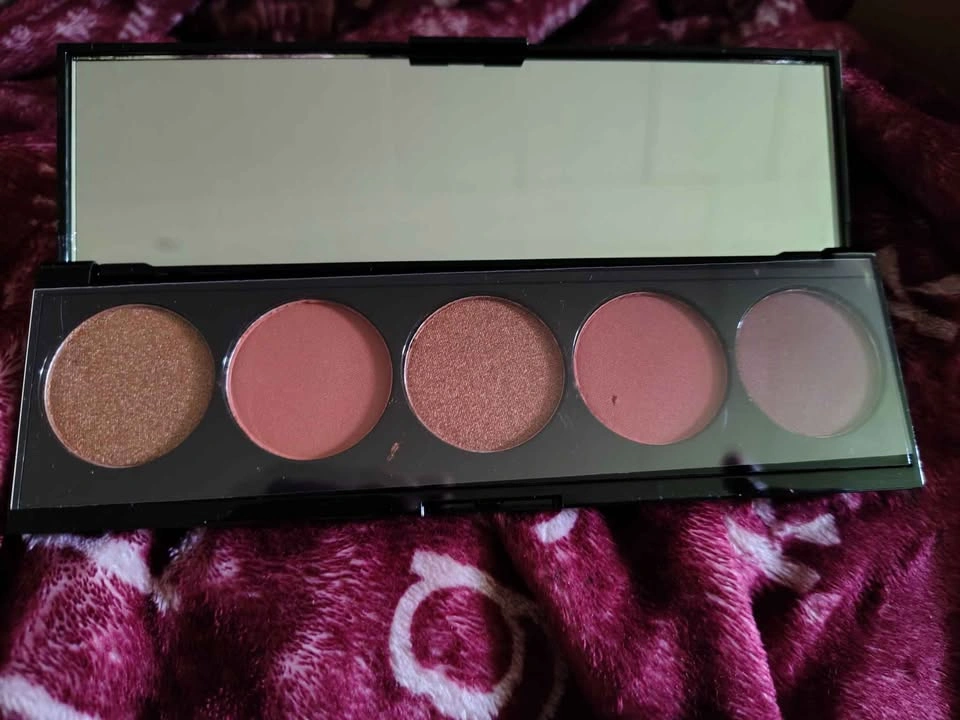 💄 BRAND NEW LARITZY COSMETICS ARTISTRY PALETTE CLASSIC 💄 - photo 4