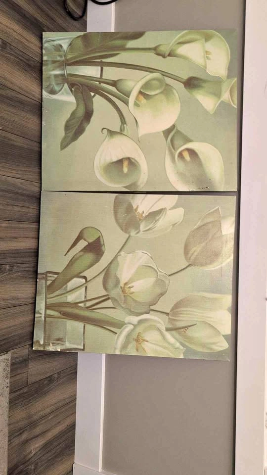 Set of 2 Floral Canvas Wall Art