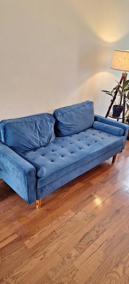 Wayfair Couch
