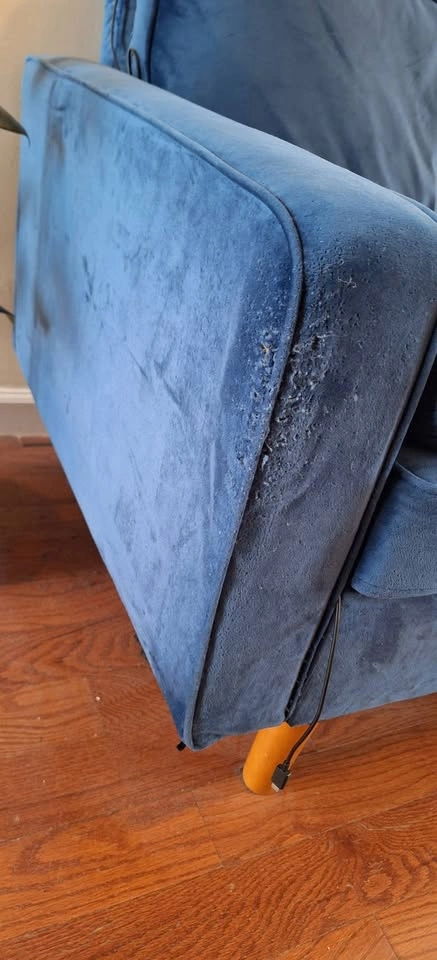 Wayfair Couch - photo 5