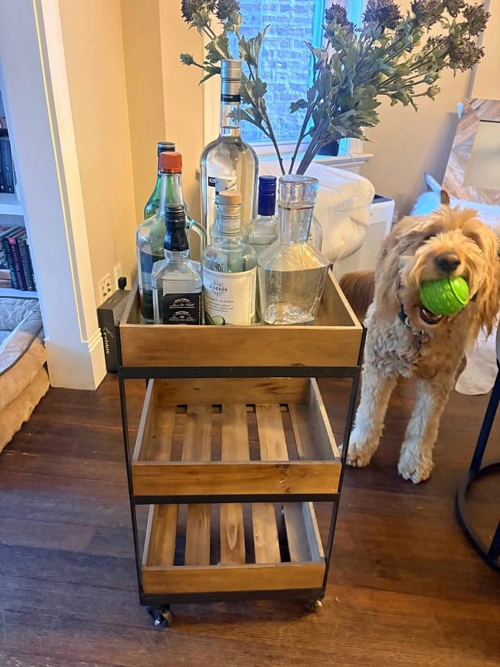World Market Wood & Metal Bar Cart