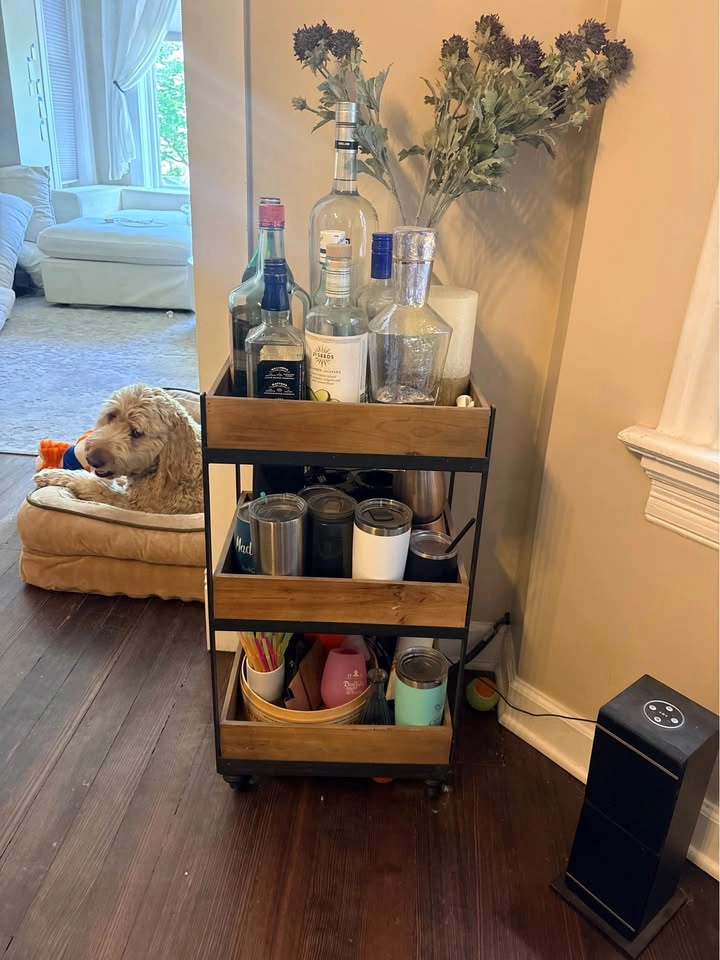 World Market Wood & Metal Bar Cart - photo 2