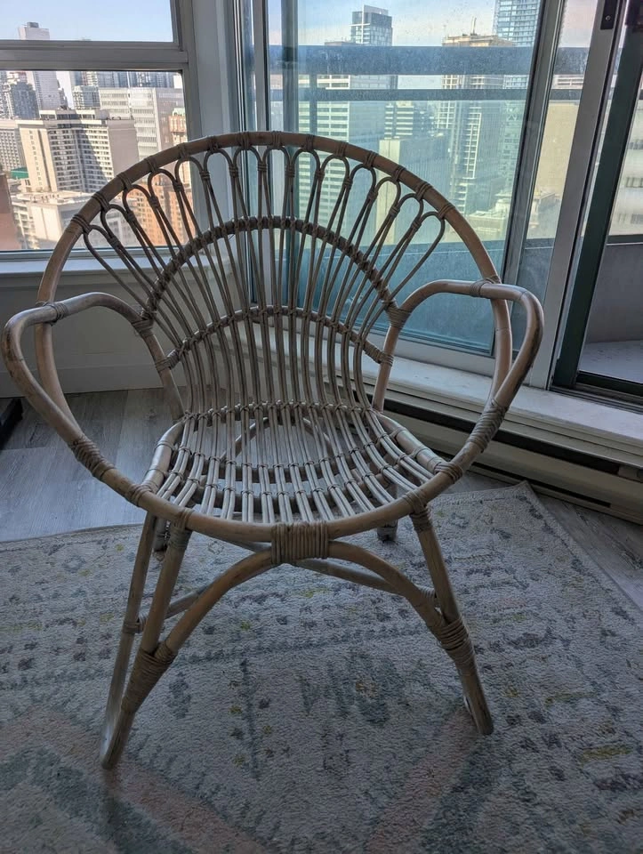 Papasan Chair & Blanket - Moving Sale - photo 2