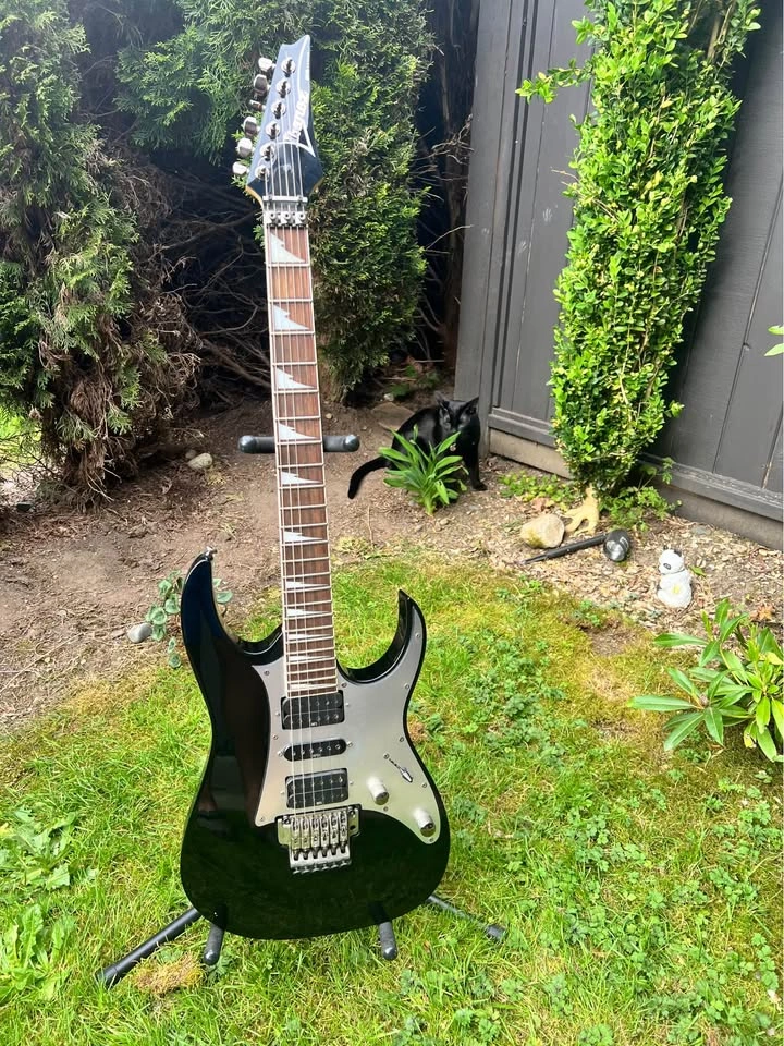 Ibanez RG350 Floyd Rose Electric Guitar - photo 2