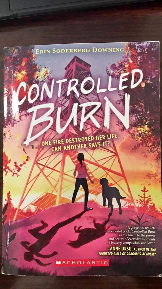 Controlled Burn - Erin Soderberg