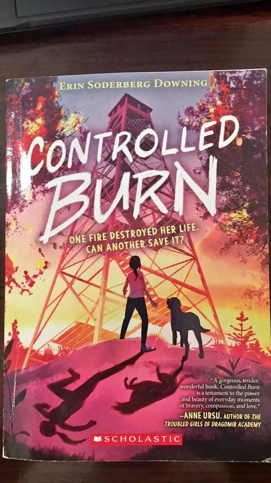 Controlled Burn - Erin Soderberg