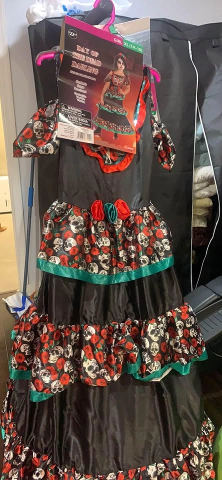 Halloween Dress for Girls, Size 14-16 (XL)