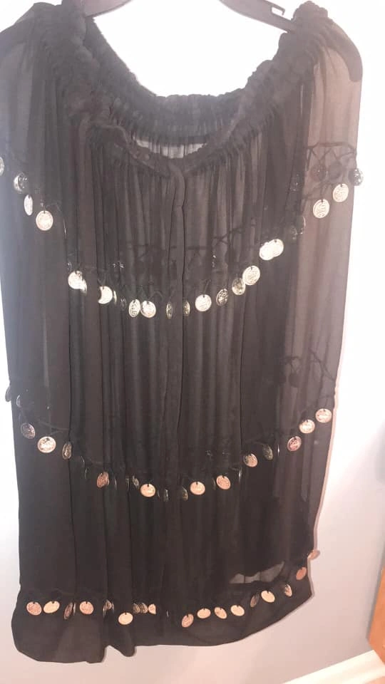 Belly Dance Skirt
