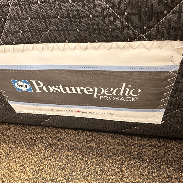Sealy Posturepedic ProBack Queen Mattress - photo 3