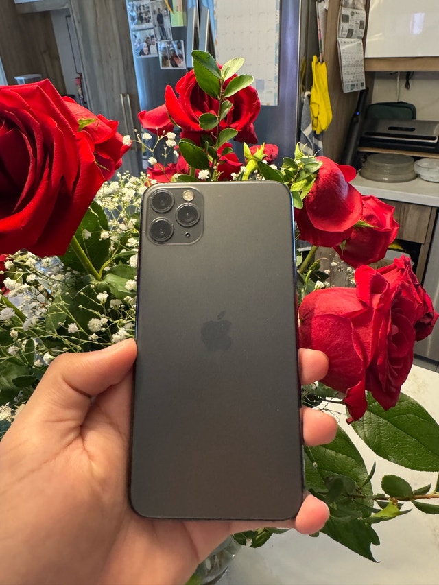 iPhone 11 Pro Max 256GB - 100% Battery Health